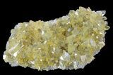 Plate Of Gemmy, Chisel Tipped Barite Crystals - Mexico #84407-1
